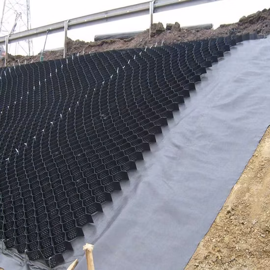 Produttore di Geocell stabilizzatore di ghiaia in plastica per pavimentazione stradale in HDPE a basso prezzo di fabbrica in vendita